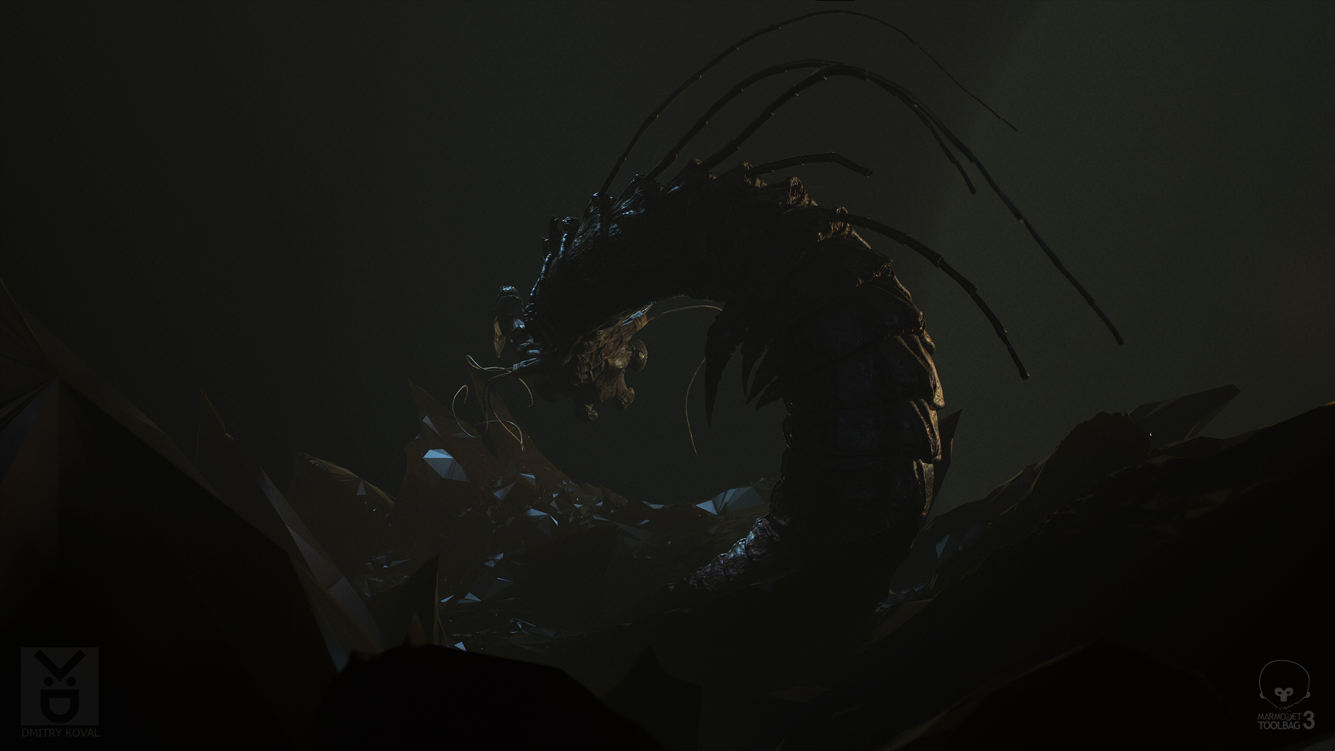 worm_back1.jpg