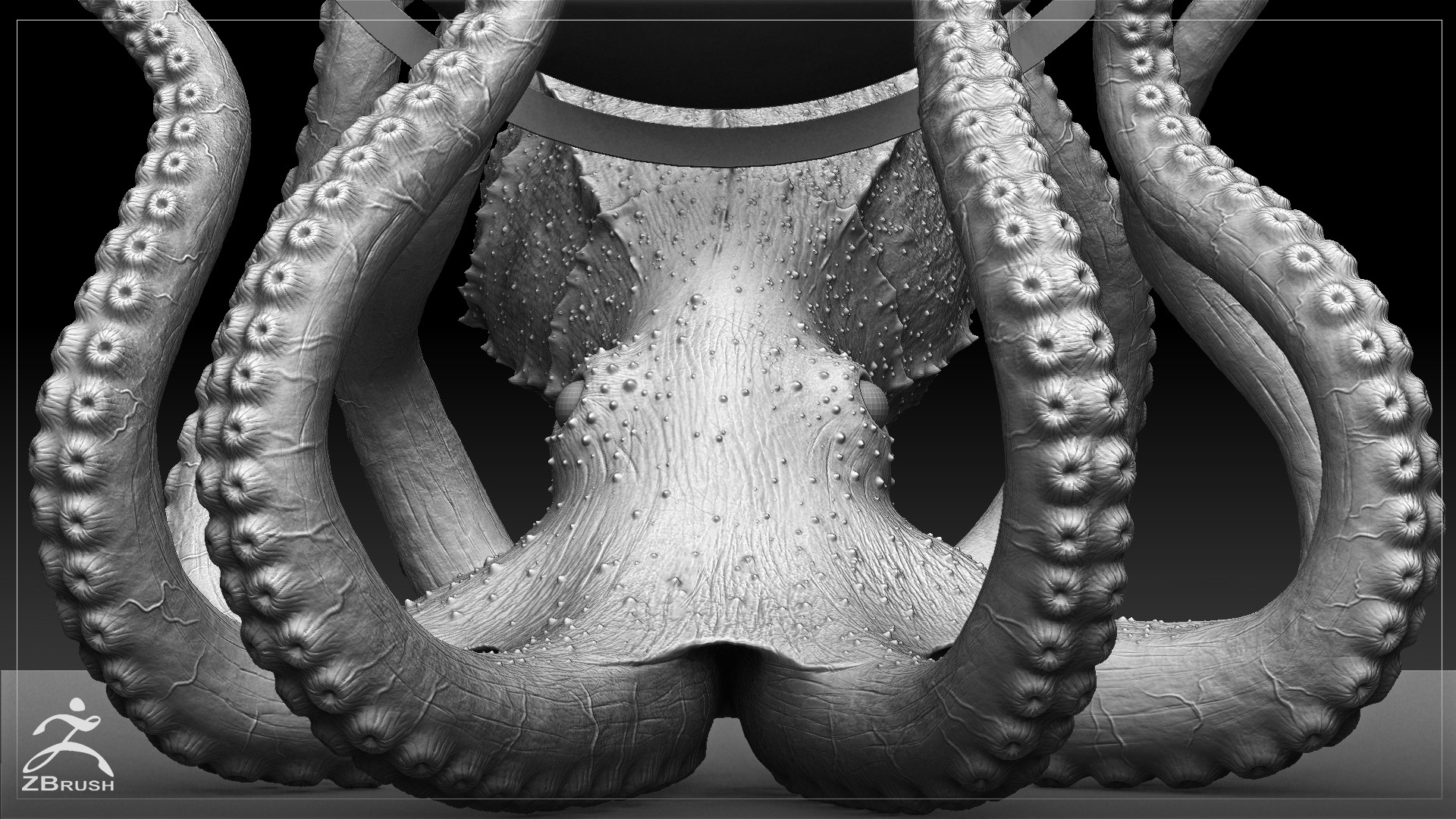 Octopus_ZBrush_03.jpg