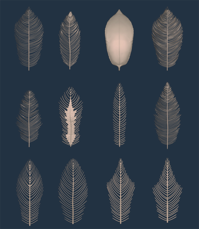 EoF_feathers.jpg