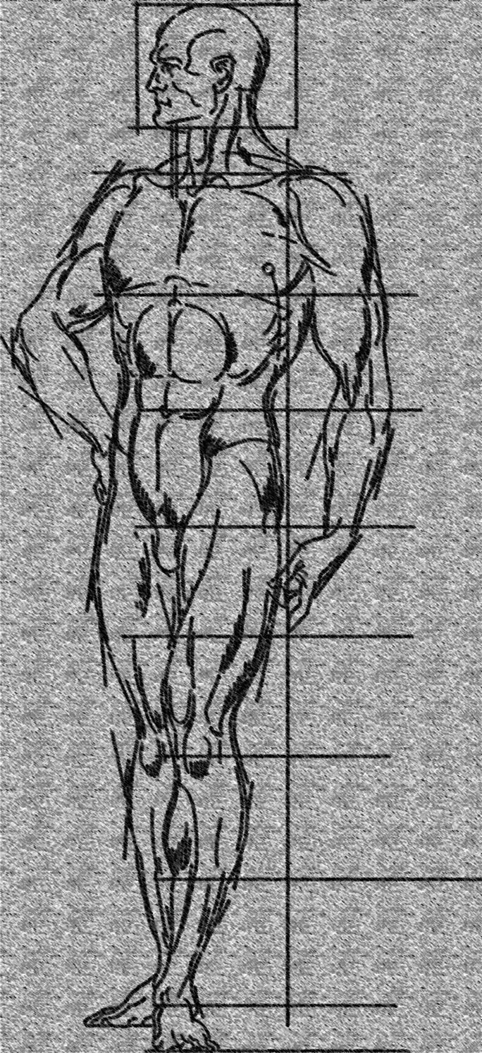 proportions2.jpg