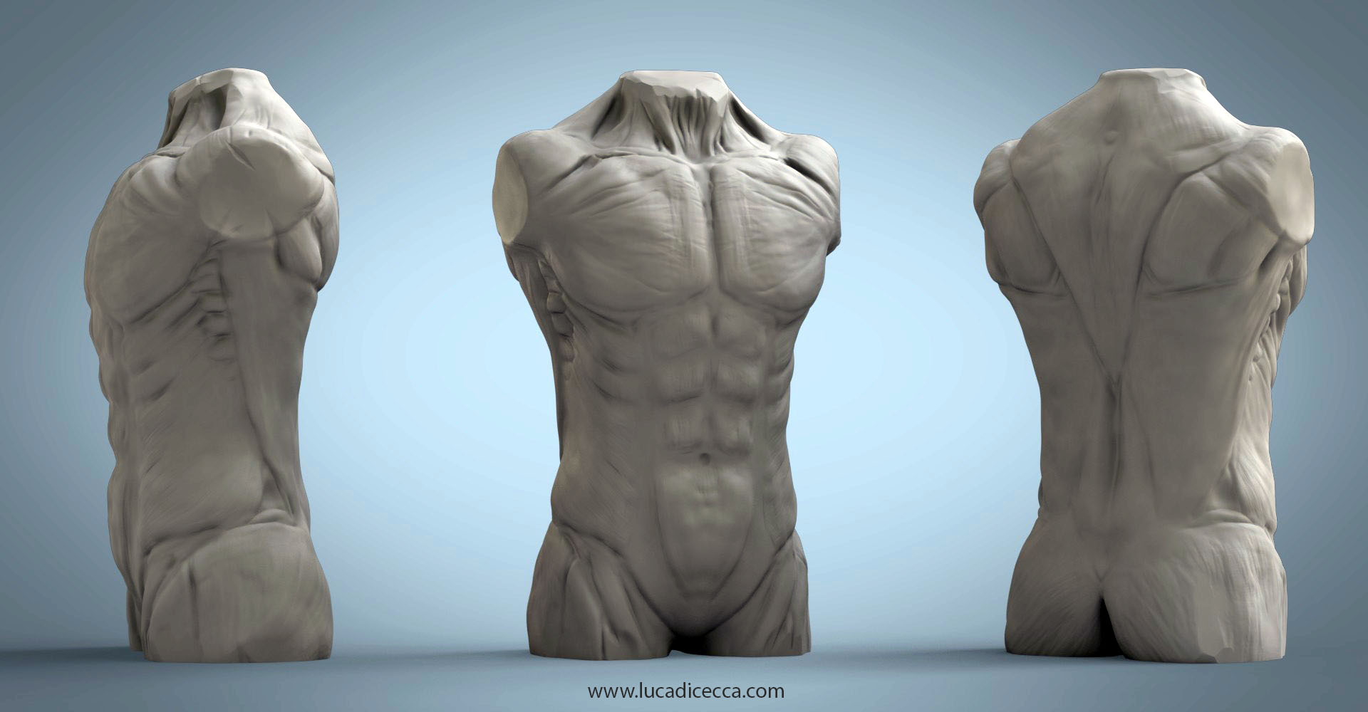 torso1.jpg