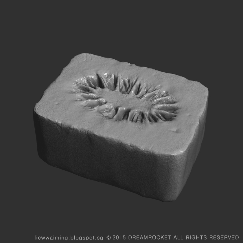 A4_KiwiBush_Zbrush_grey.jpg