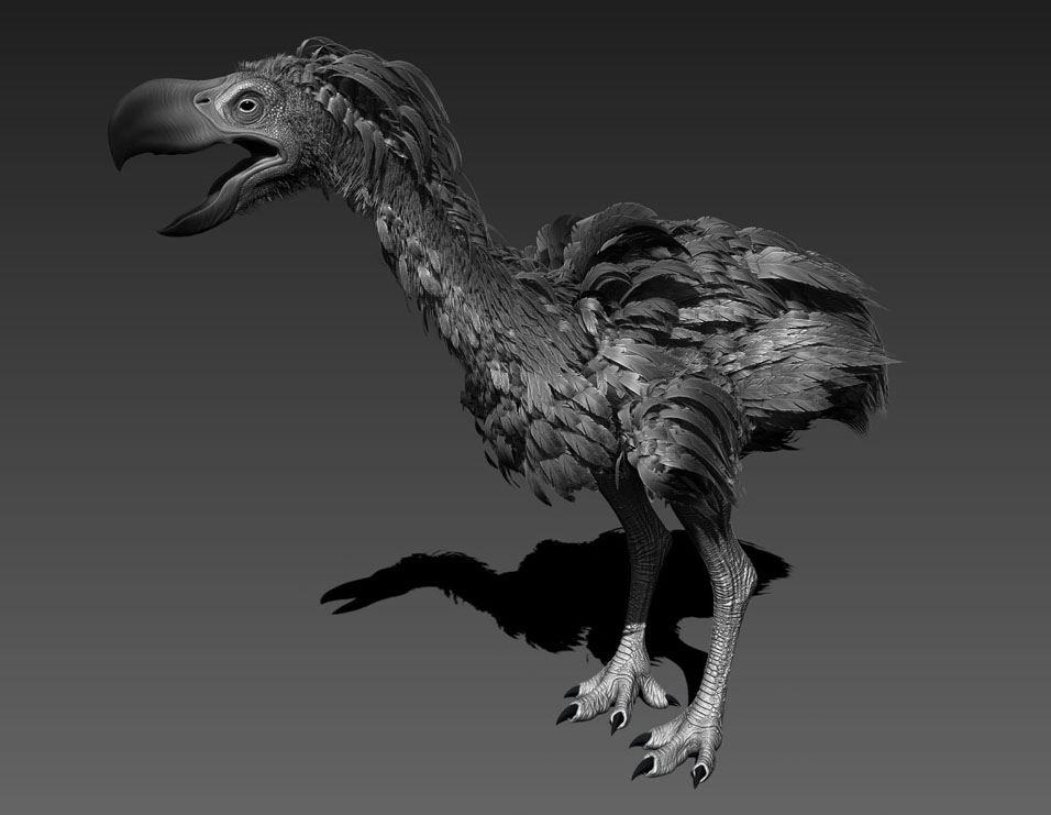 TerrorBird_Zbrush_01.jpg