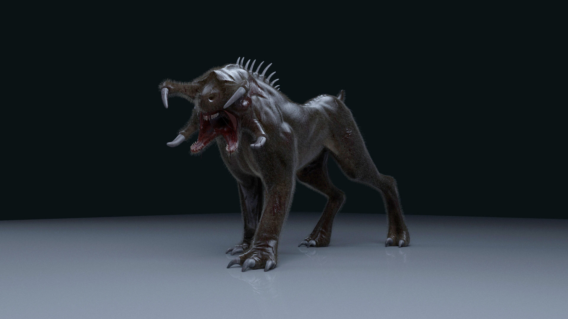 dog-10
