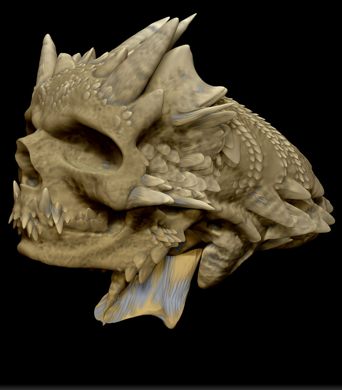 SCALED SKULL 3.jpg