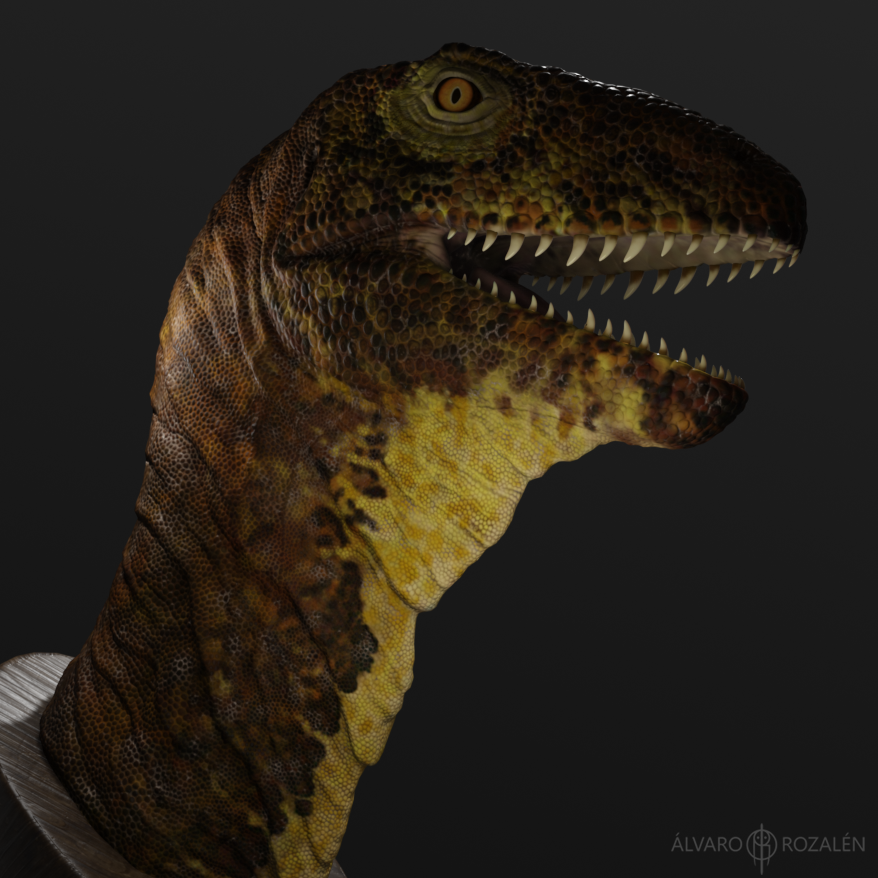 DV_2