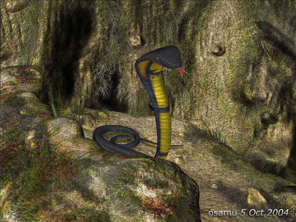 snake.jpg