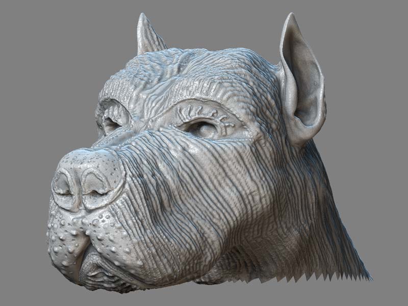 side profile 1.jpg