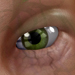 ElfSaytr_MedThumb.jpg