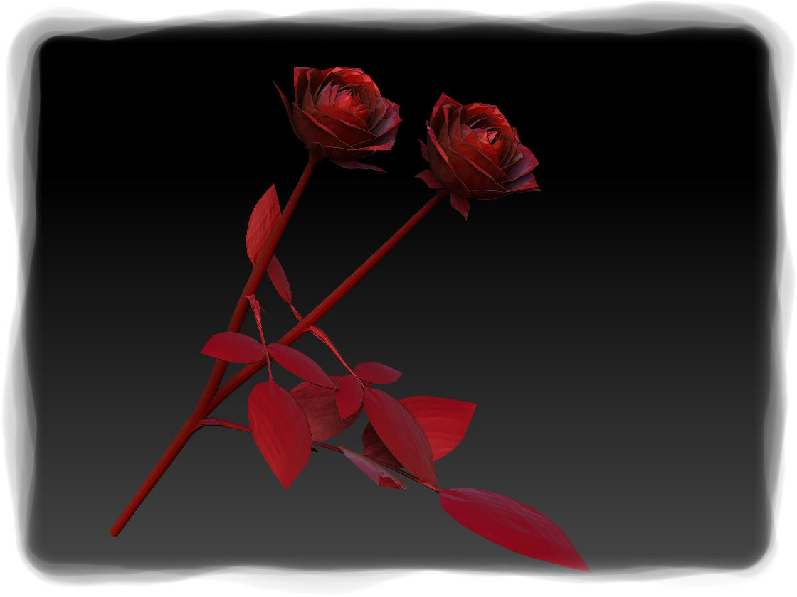 rose1a.jpg