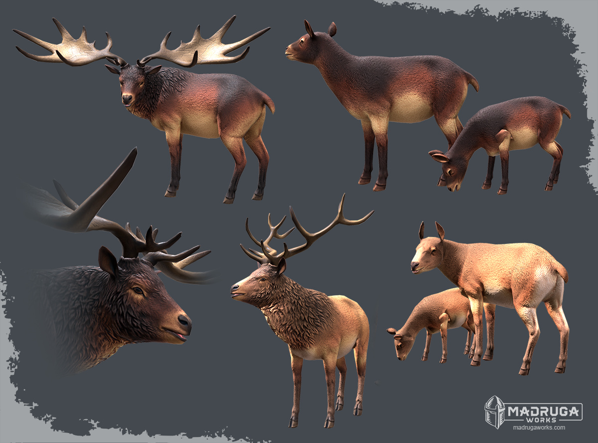 megaloceros