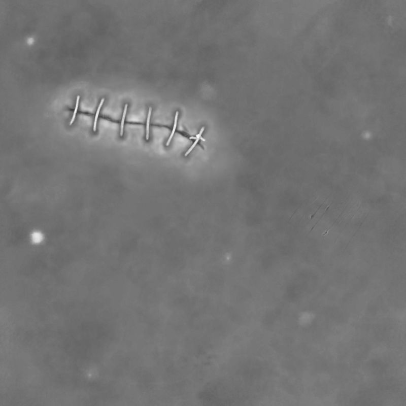 hska014b.jpg
