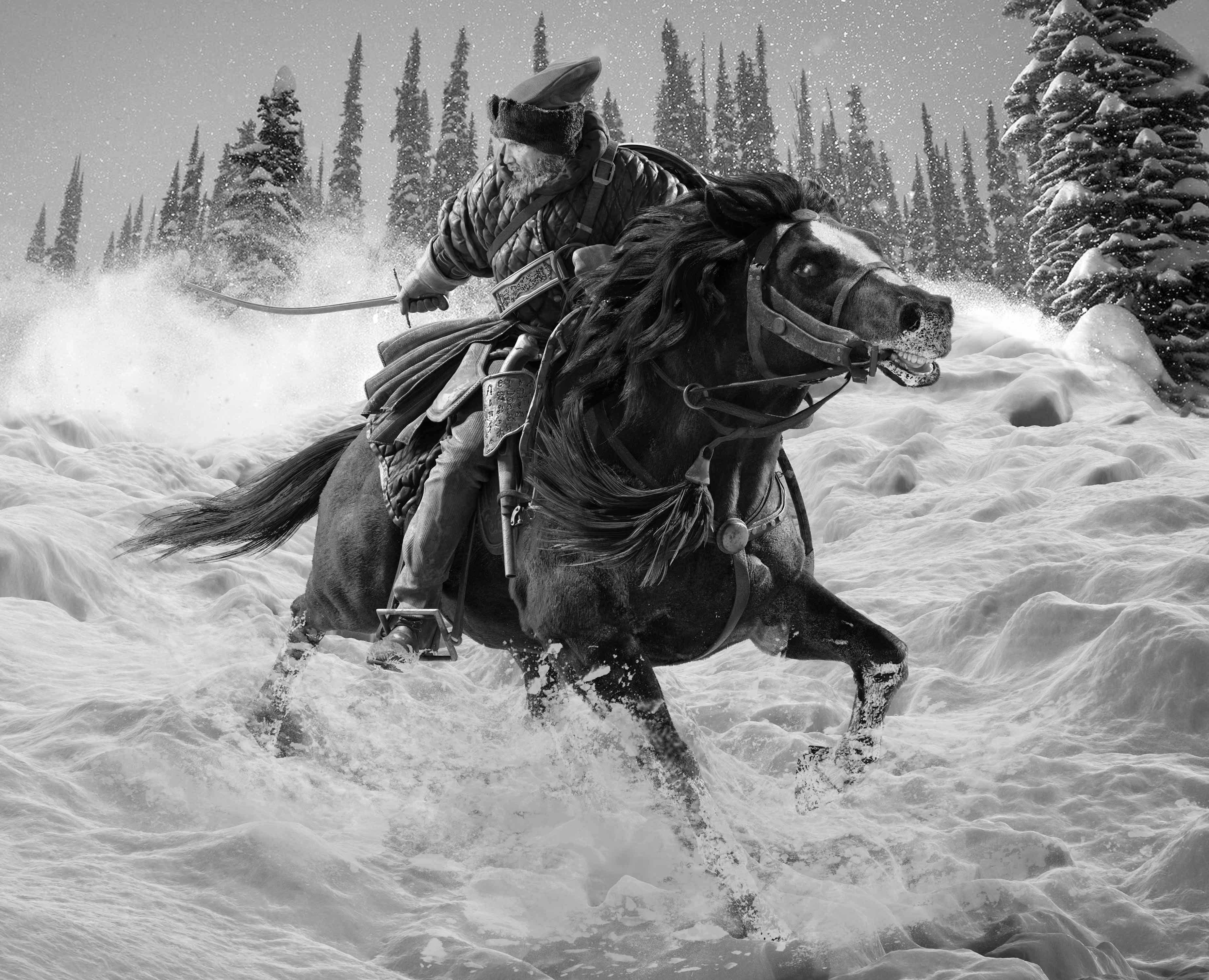 Horse-gallop_w.jpg