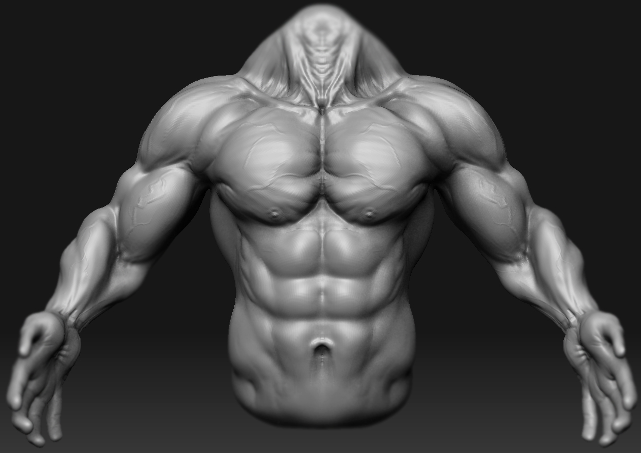 torso copy.jpg
