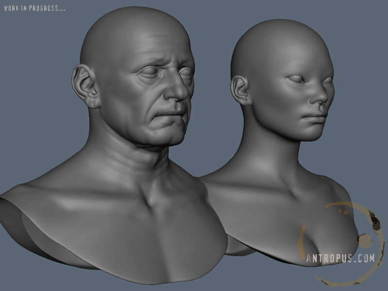 wipmaya002.jpg