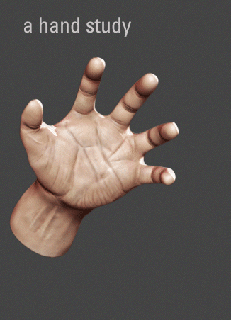 Hand_Study.gif