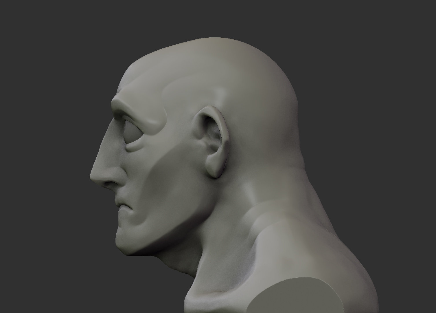 marko-rapaic-bust006.jpg