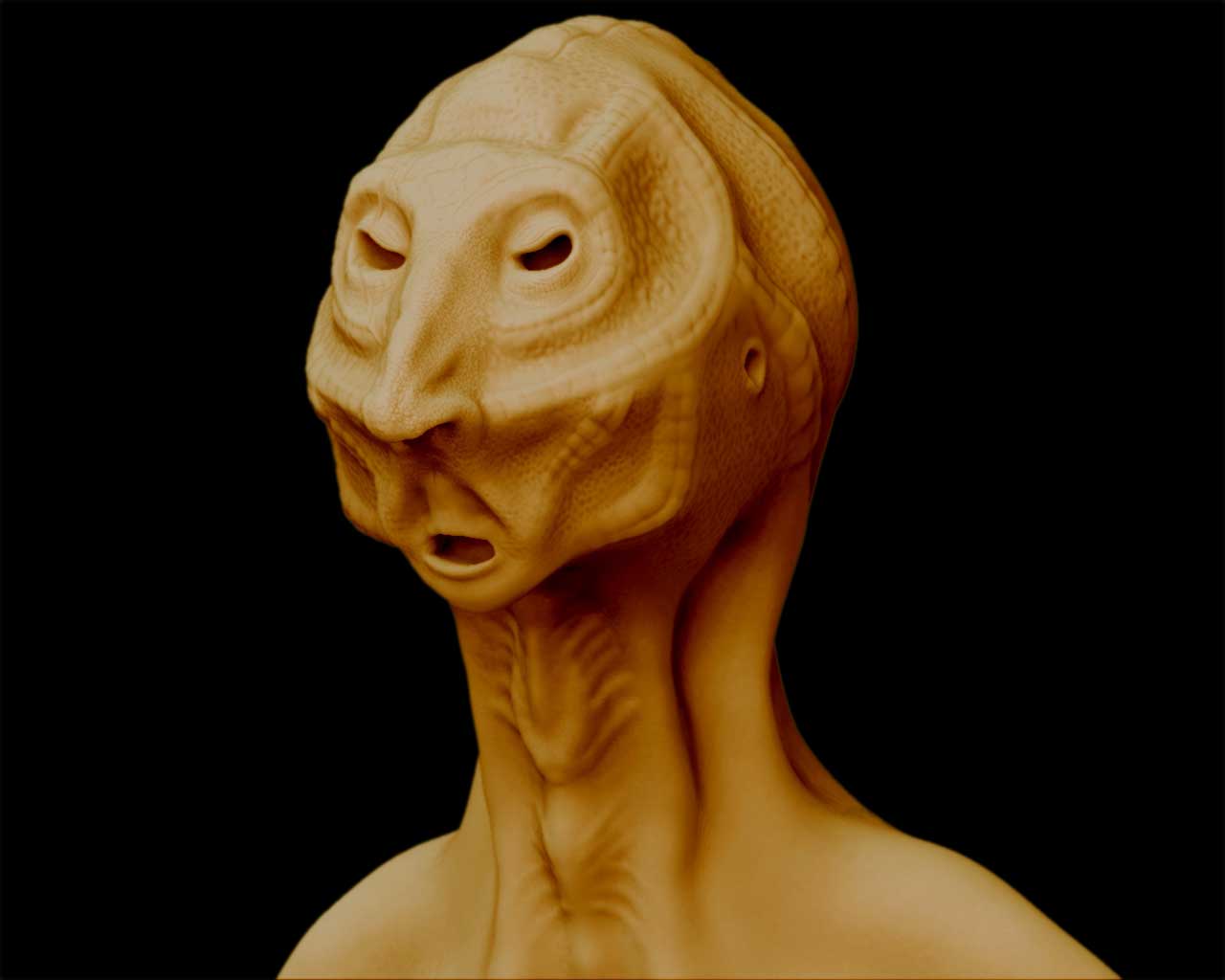 face4fe3.jpg
