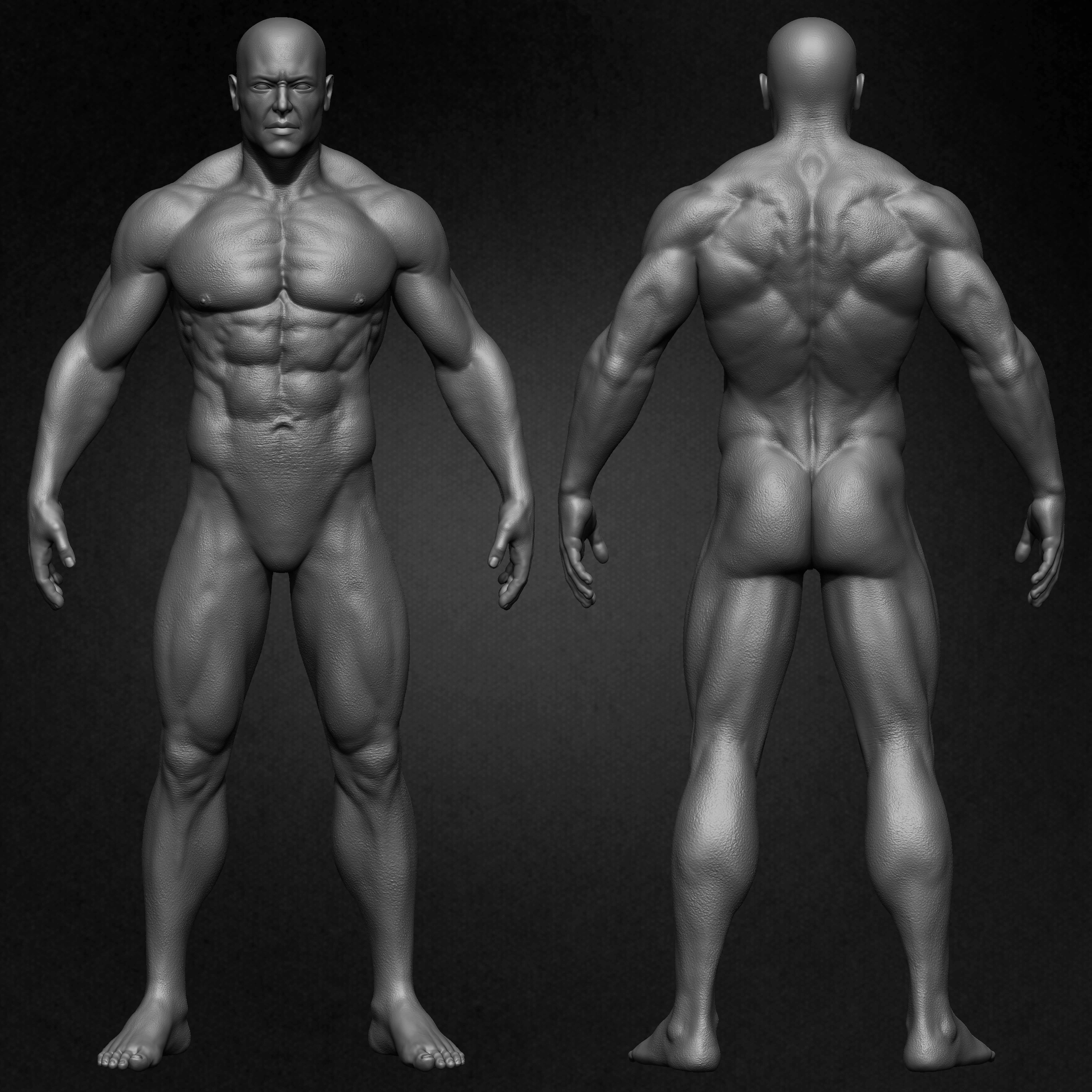 Muscular Male Anatomy 3D Character sculpted by Yacine BRINIS 017