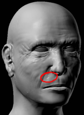 disp2.jpg
