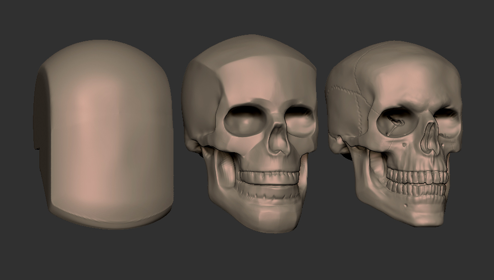 skull_01.jpg