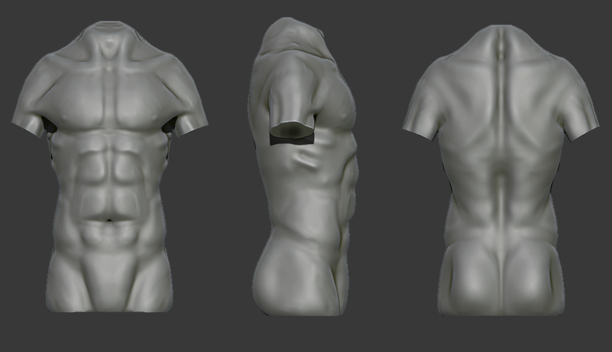 male torso full.jpg
