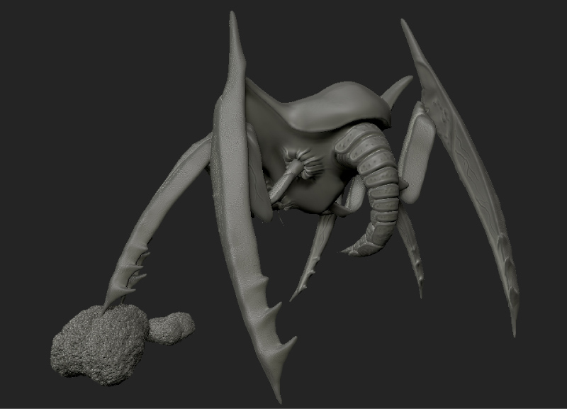 bug_back.jpg