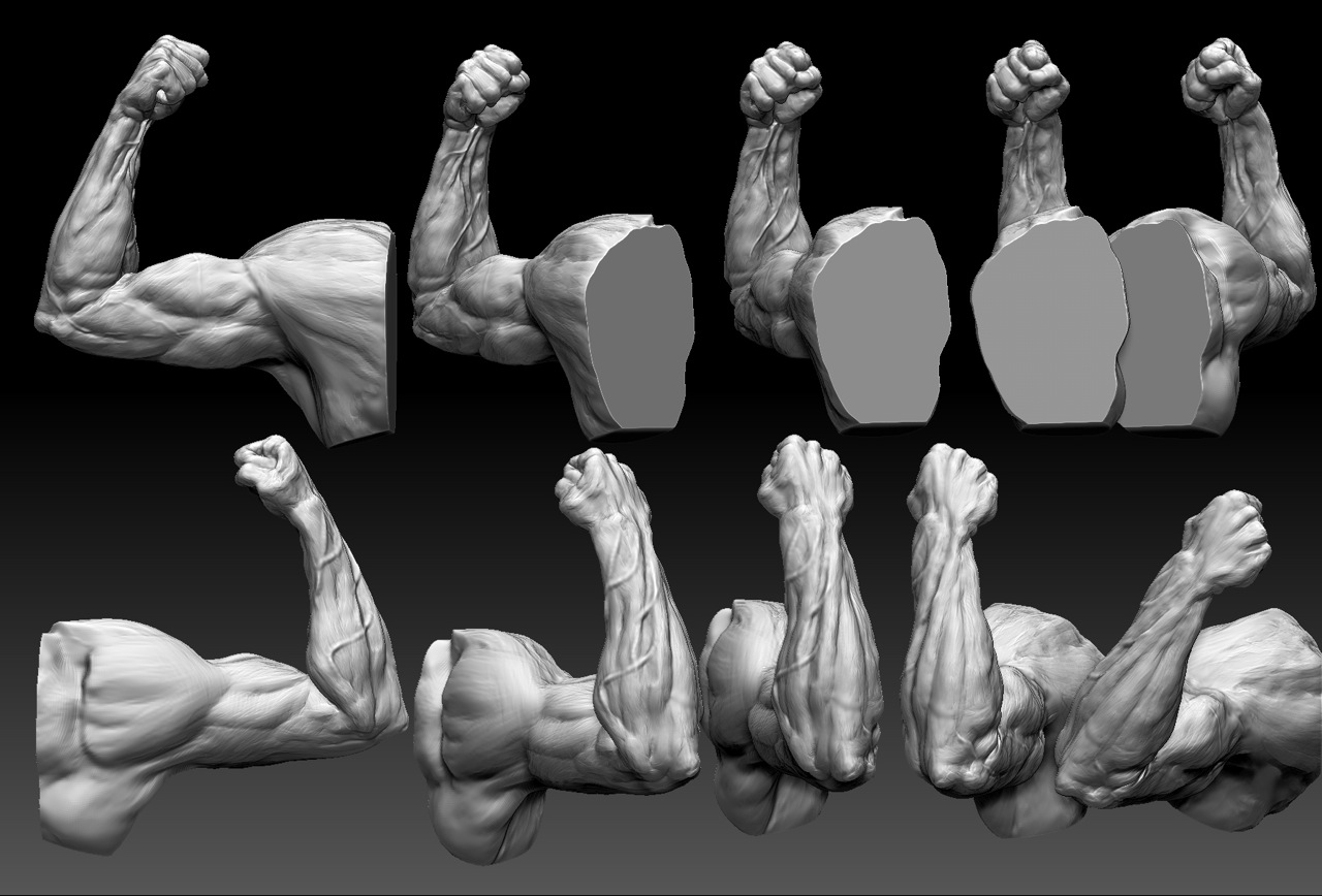 scott-eatons-digital-figure-sculpting-week2-zbrushcentral