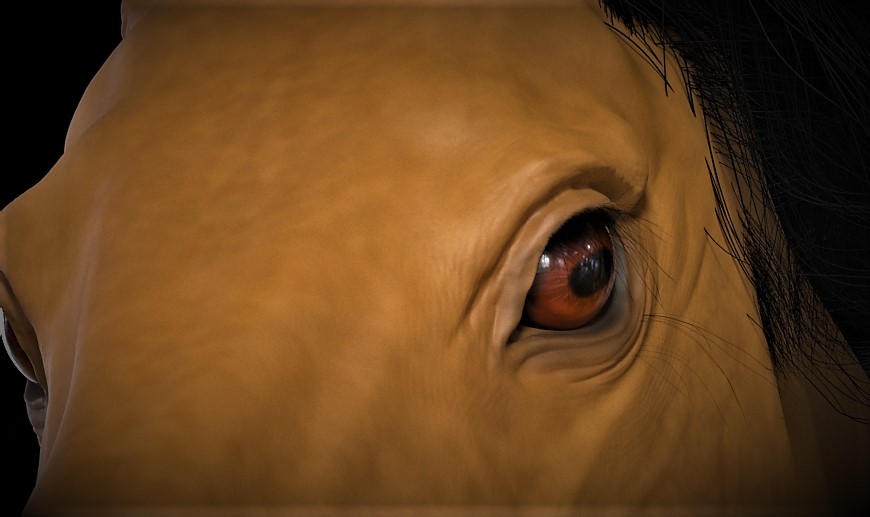 Horse3