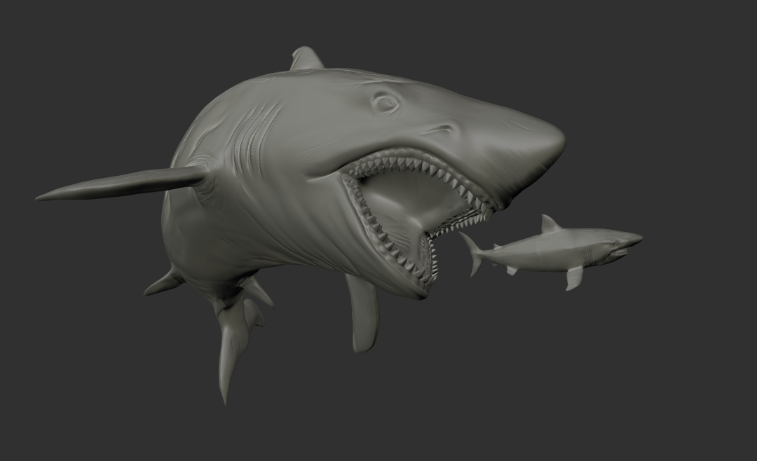 megalodon_nkm_001_ZB