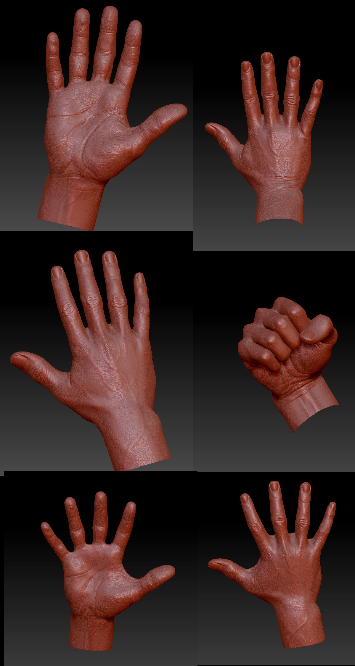 hand_zb_01.jpg