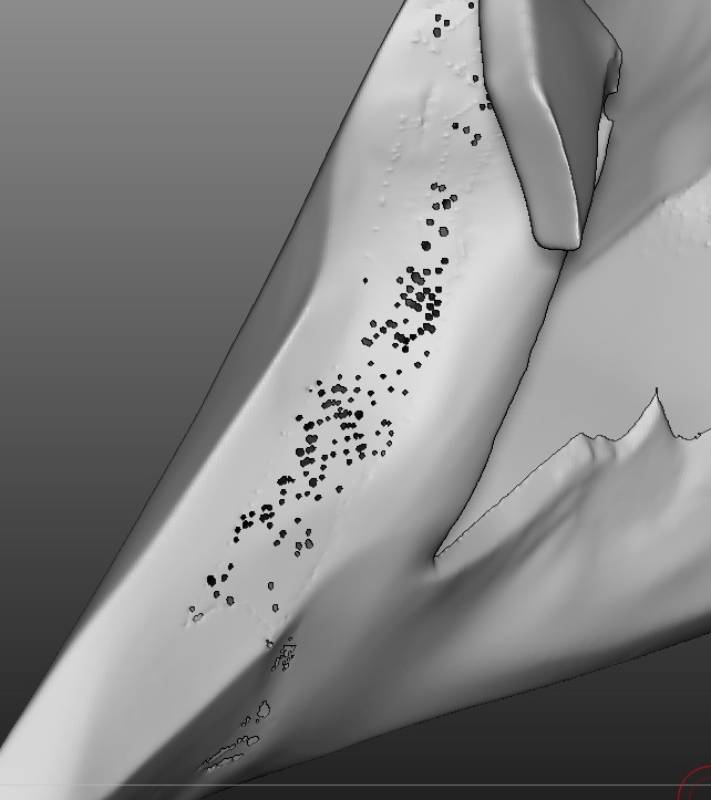 Screen shot 2012-03-22 at 00.26.02.jpg