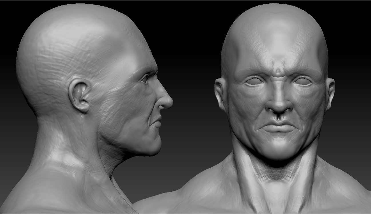 torso.jpg