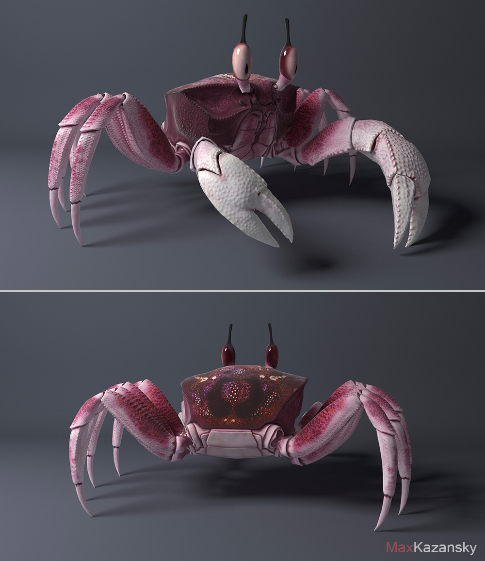 Crab_view02.jpg