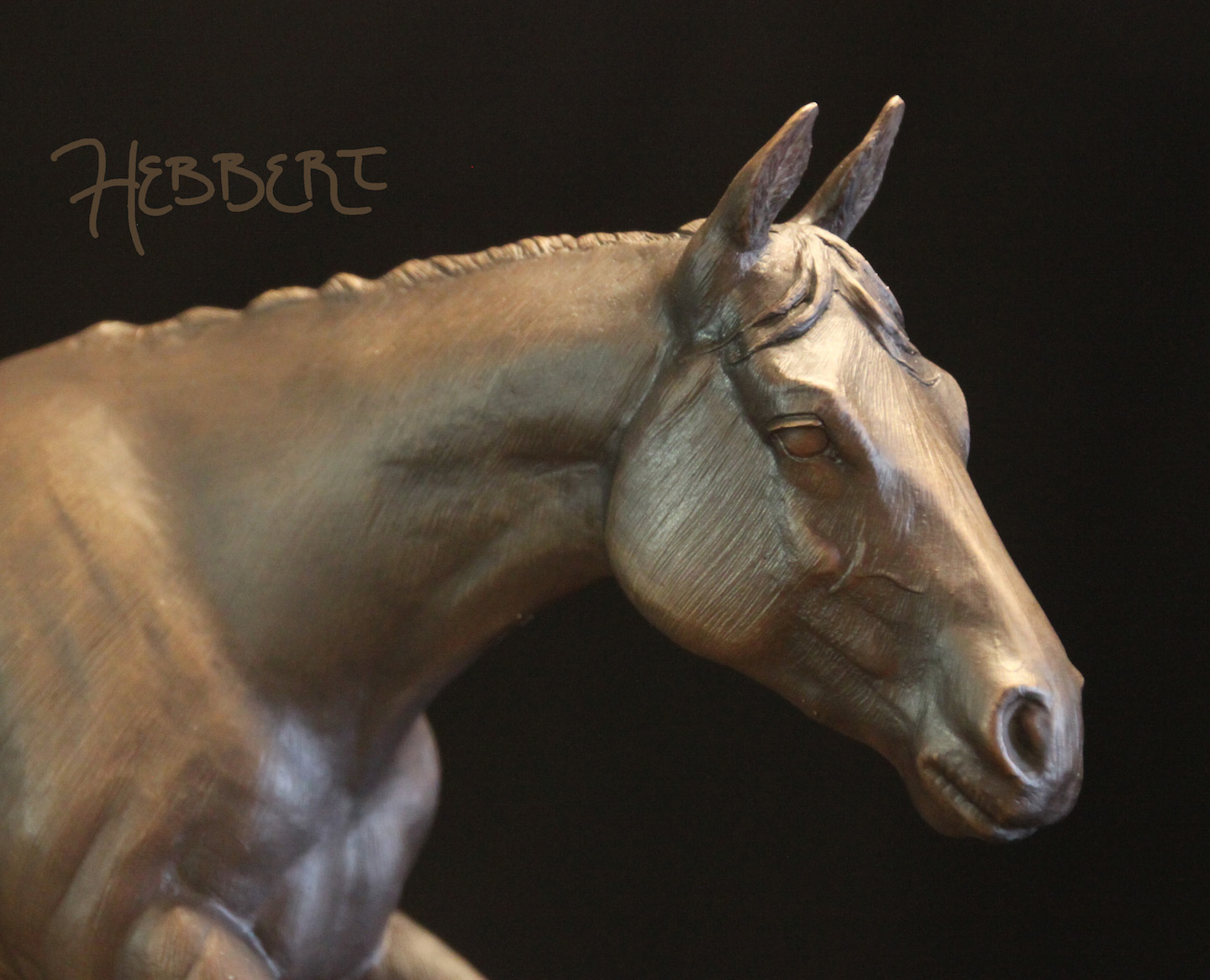 horse_final_02.JPG