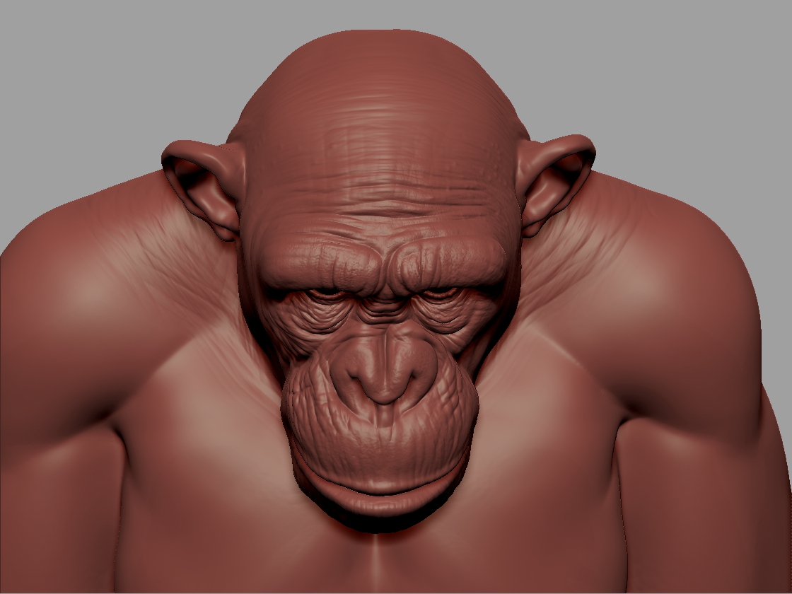 Chimp#1_03.jpg