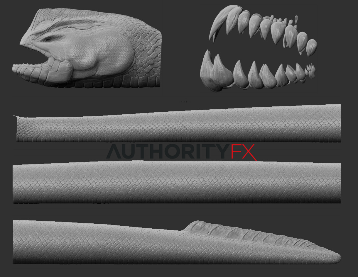model_sheet.jpg