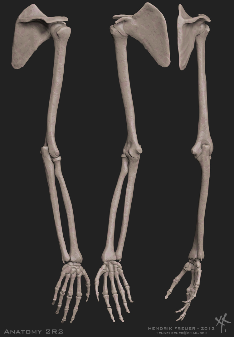 A2R2_Arms.jpg