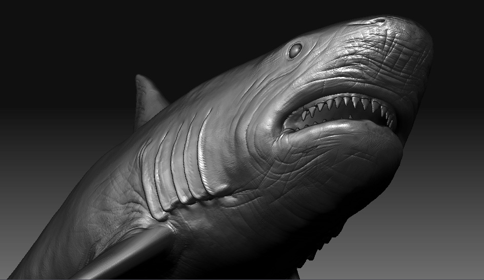 meg3.jpg