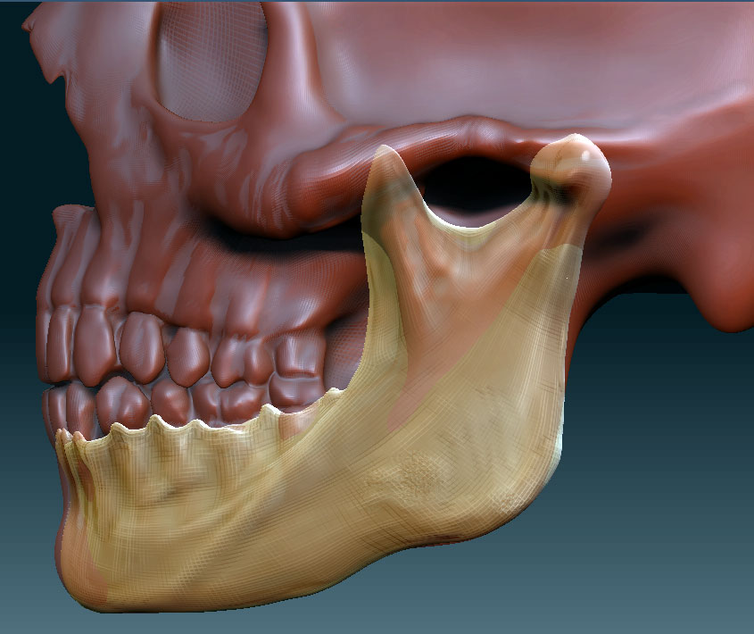 JawboneRetopD.jpg