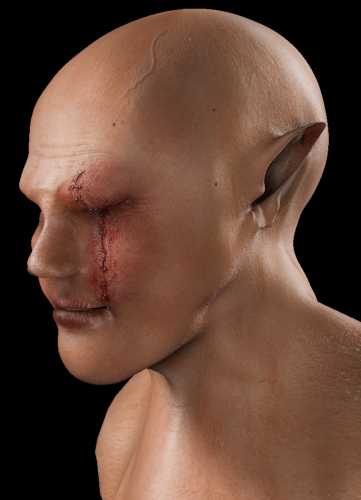 elf2orc_06sss_diff1.jpg
