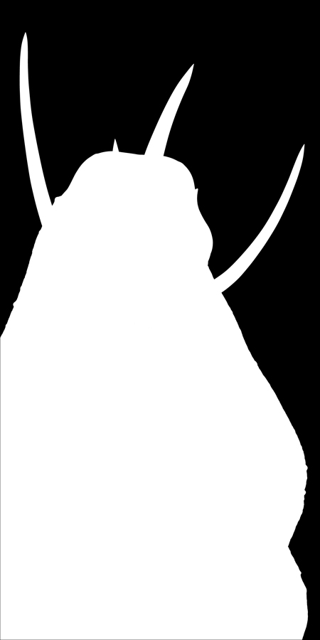 BPR_Mask9.jpg