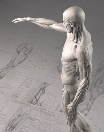 eatonHoudon-anatomyEcorche_tn.jpg
