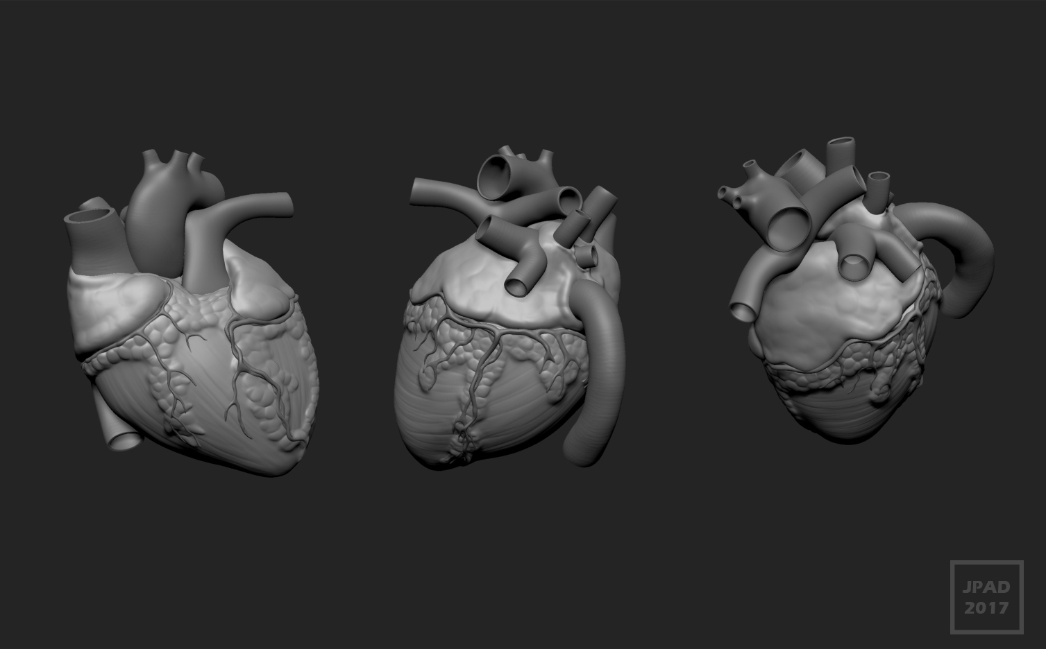 Human_Heart_JPad_Model_Sheet.jpg