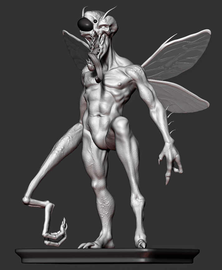 Fly04