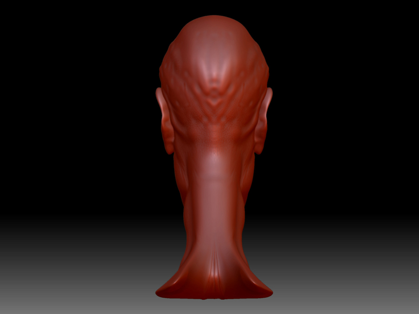 renderguybacksmaller.jpg