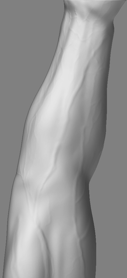 MaleCharacterHandBottom_02.jpg