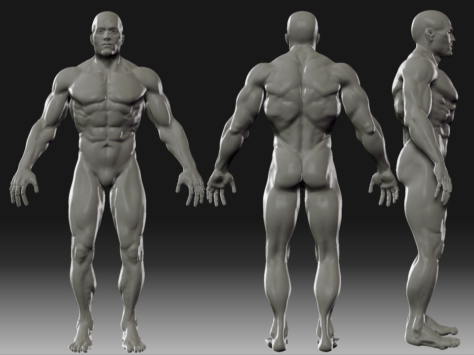 Body_Z_01.jpg
