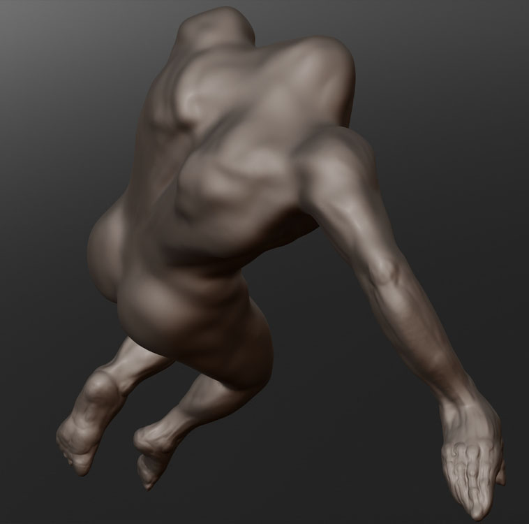 CLASSICAL TORSO 13.jpg