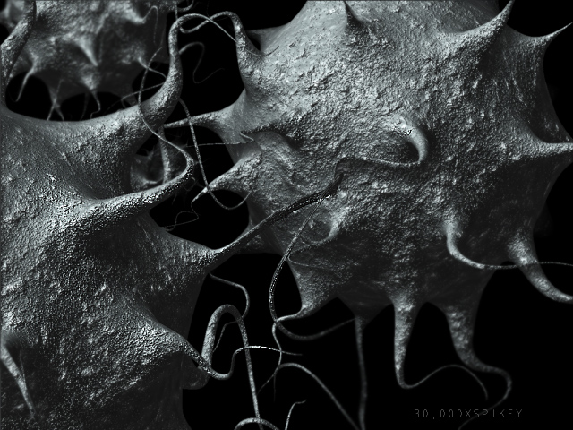 MicroSpikey.jpg